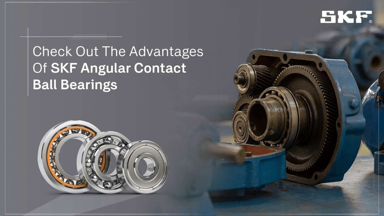 WhatsApp Image 2024-12-16 at 12.58.22 AM