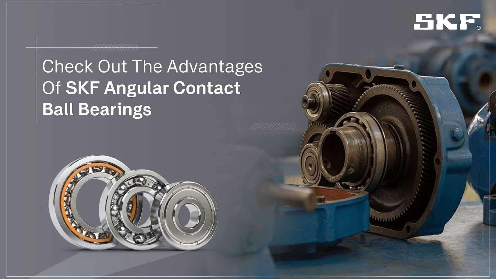 WhatsApp Image 2024-12-16 at 12.58.22 AM